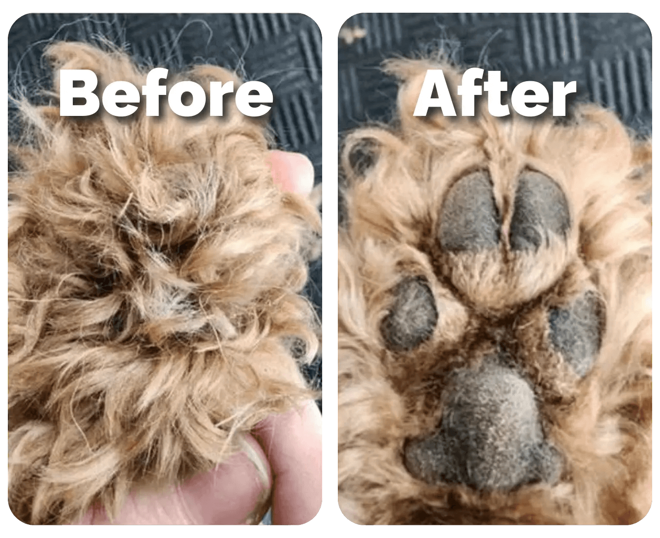 SereniTrim™ - Pet Precision Trimmer