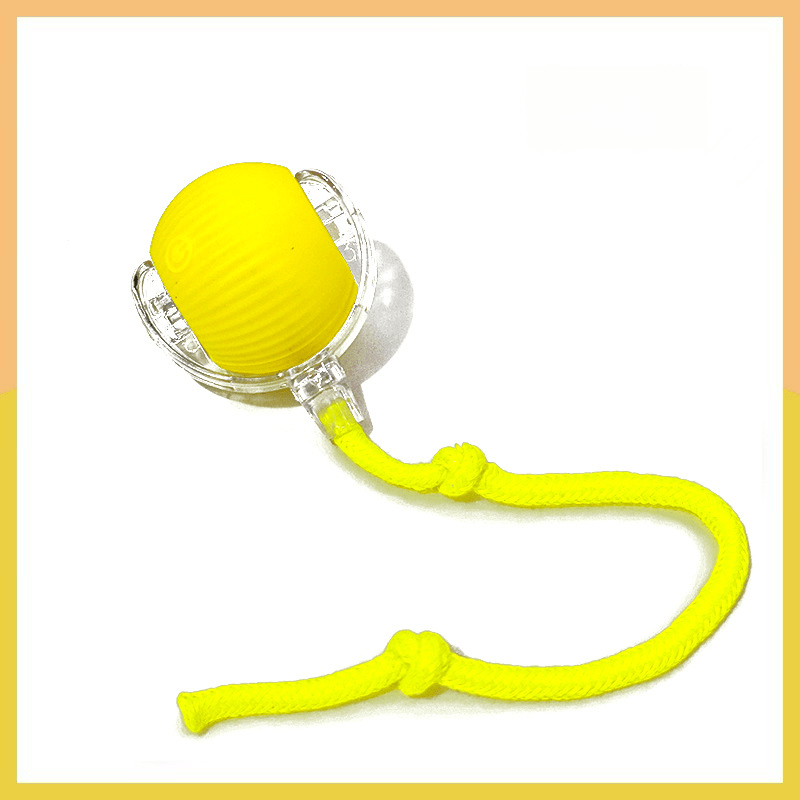 PawBot™ Smart Pet Ball – Interactive & Pet-Friendly