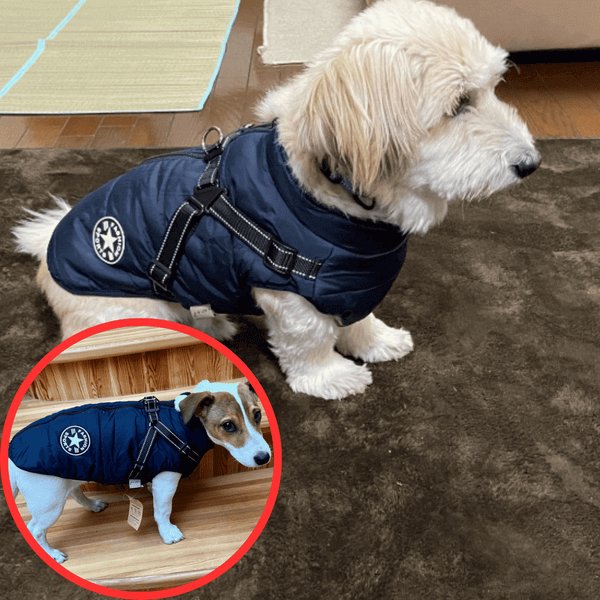 Wowpetsmart® - Waterproof Winter Dog Jacket with Built-in Harness