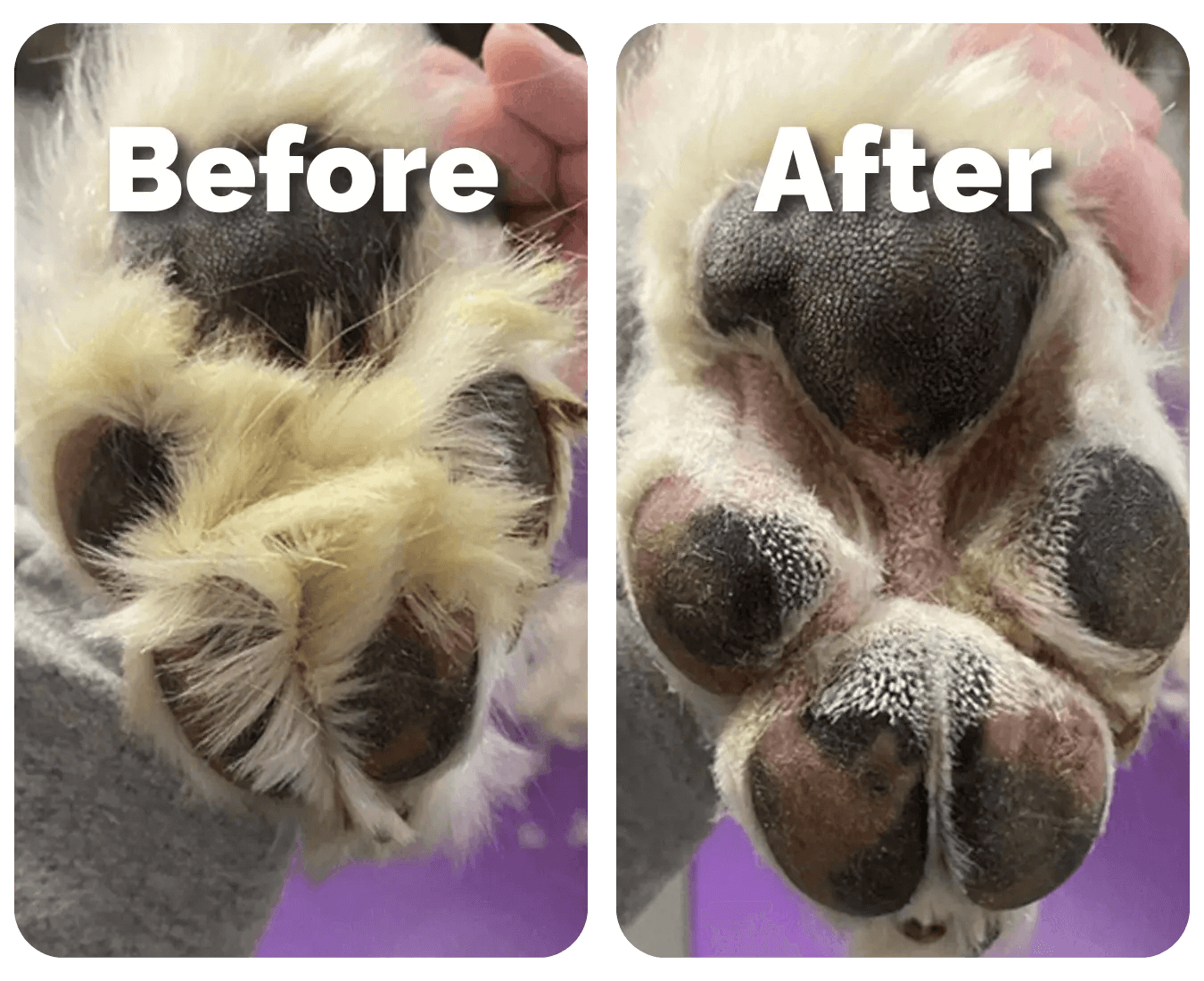 SereniTrim™ - Pet Precision Trimmer