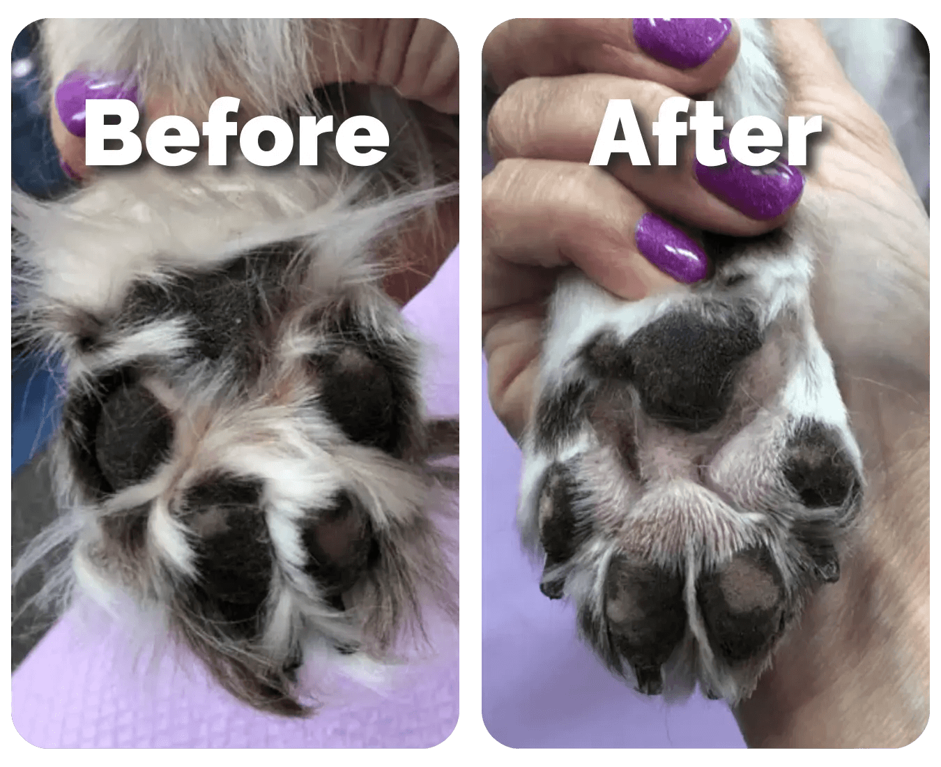 SereniTrim™ - Pet Precision Trimmer