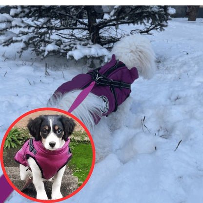 Wowpetsmart® - Waterproof Winter Dog Jacket with Built-in Harness