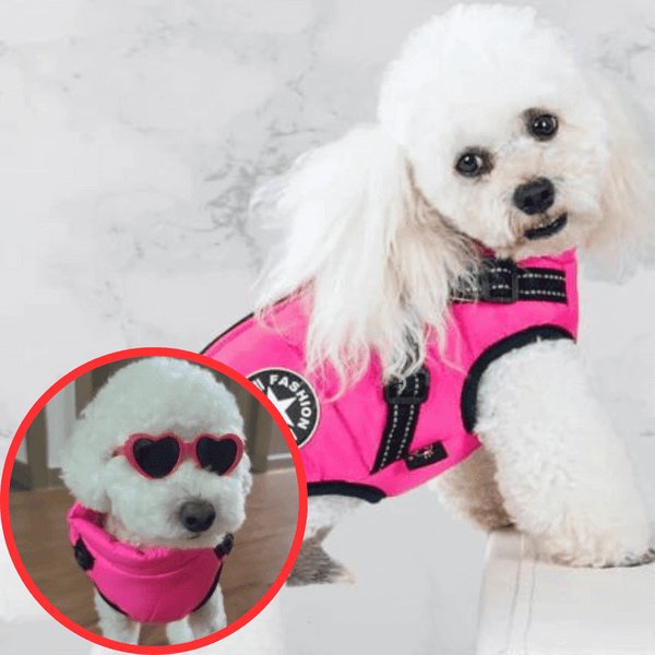 Wowpetsmart® - Waterproof Winter Dog Jacket with Built-in Harness