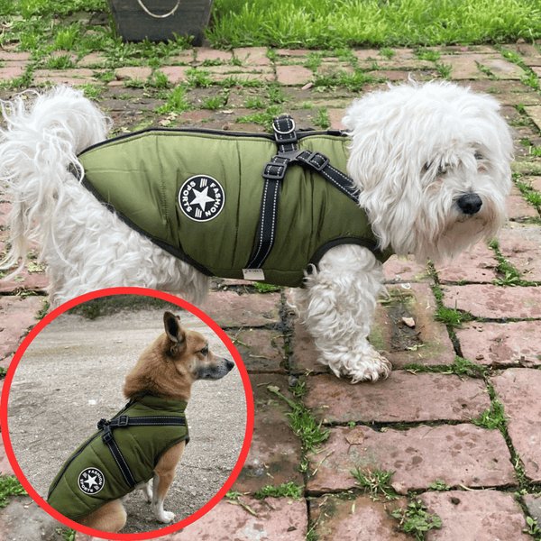 Wowpetsmart® - Waterproof Winter Dog Jacket with Built-in Harness