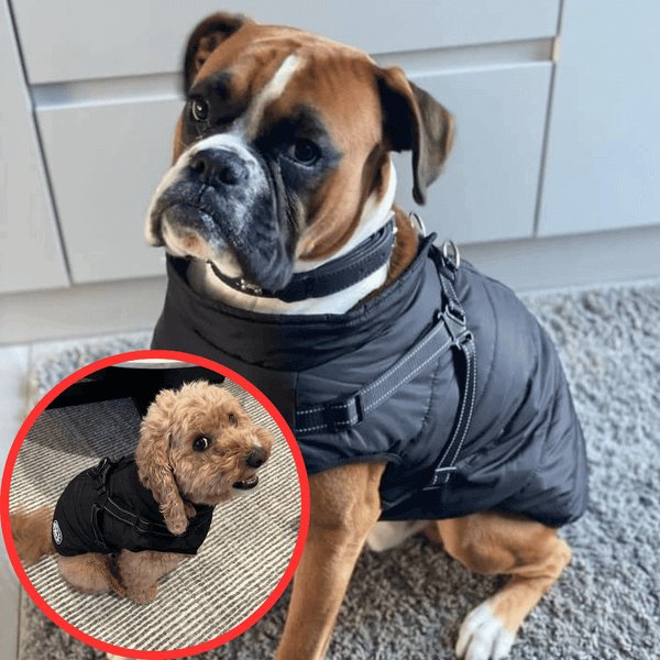 Wowpetsmart® - Waterproof Winter Dog Jacket with Built-in Harness