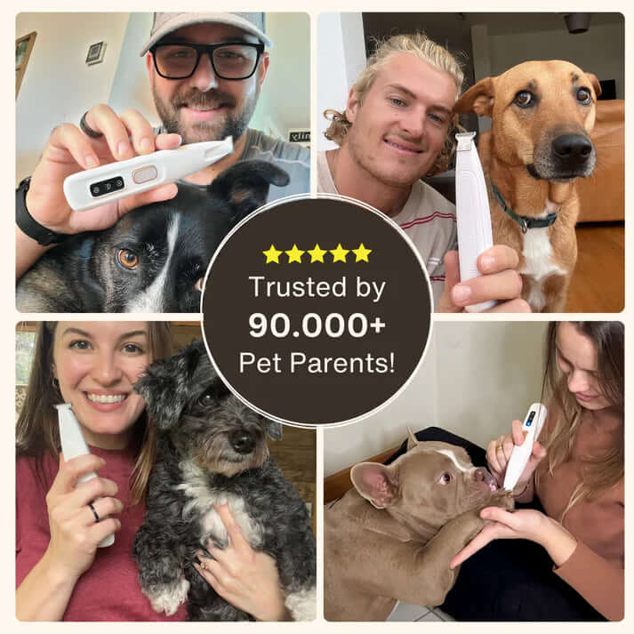 SereniTrim™ - Pet Precision Trimmer
